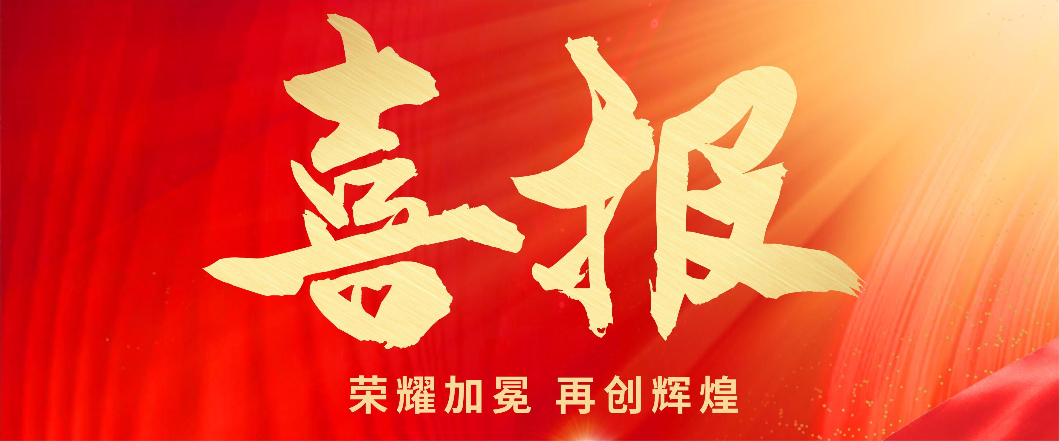 雙星閃耀，創新領航 —— 圣效集團旗下兩企業榮膺2024年浙江省創新型中小企業殊榮